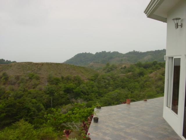 Picture 051